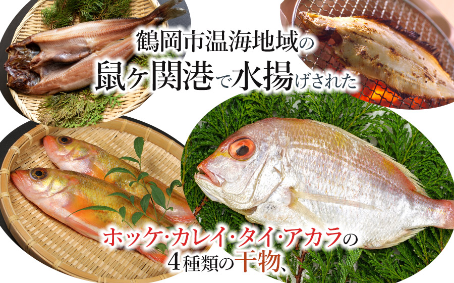 浜のかあちゃんの店　鼠ヶ関港水揚干物＋イカ塩辛＋乾燥紅えびセット　鼠ヶ関水産加工生産組合