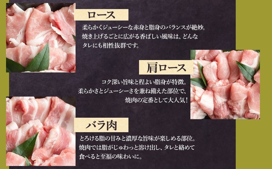 鶴岡産三元豚「桜美豚」焼肉用セット（ロース・肩ロース・バラ・豚トロ・ヒレ）約750g（2～3人前）　K-736　豚肉　長南牛肉店