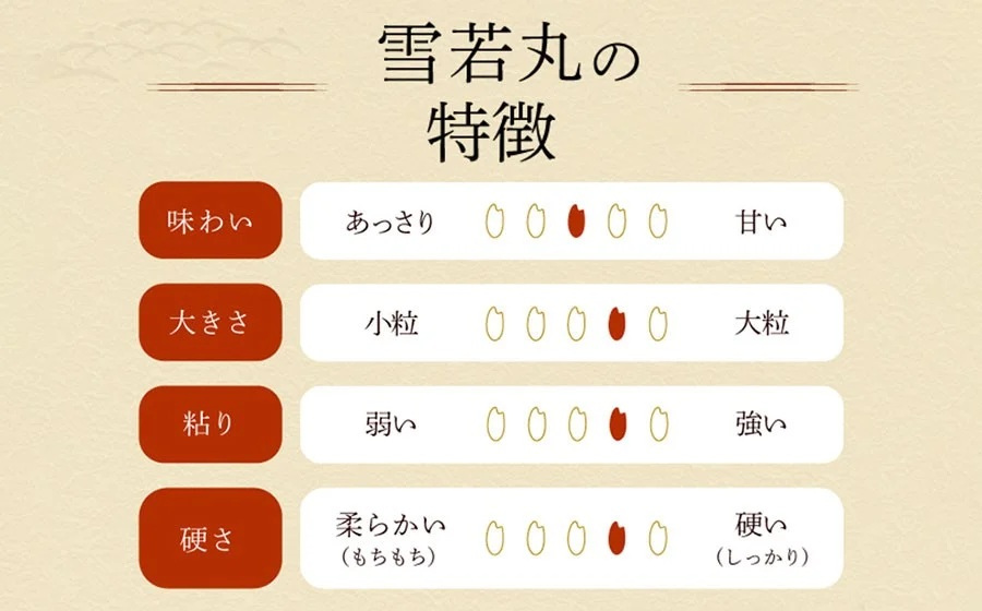 令和7年産　雪若丸 精米 5kg×1袋　庄内観光物産館