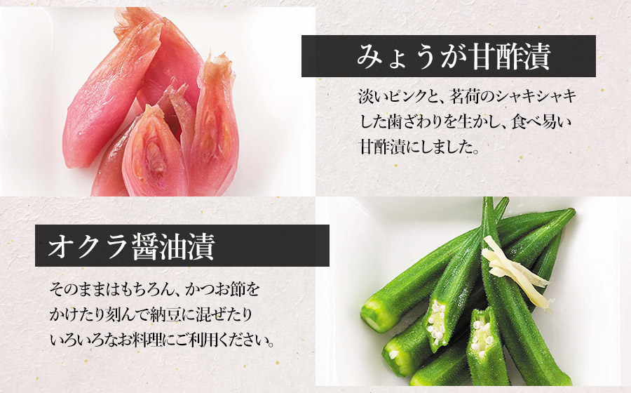 【令和8年発送 先行予約】　夏限定！　浅漬詰合せ　［K-723］ 株式会社 本長