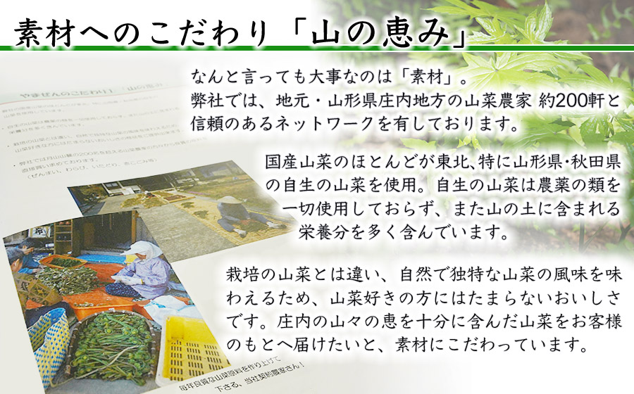 国産山菜ミックスセット（100g × 8パック）　【市制施行20周年記念返礼品】　やまぜん食品　K-730