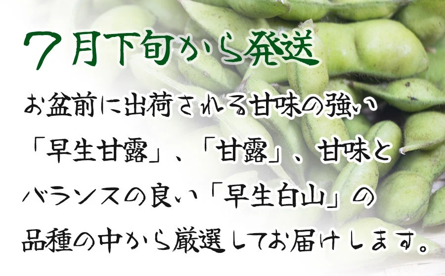 【令和8年産先行予約】”元祖”森屋藤十郎の白山産だだちゃ豆「早生」1kg（500g×2袋） 鶴岡特産　K-831
