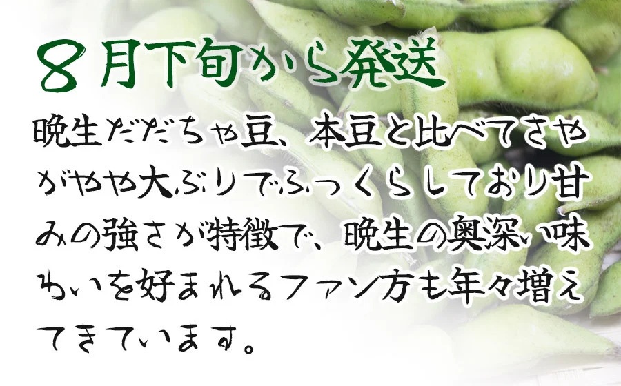【令和8年産先行予約】”元祖”森屋藤十郎の白山産だだちゃ豆「晩生」　1kg（500g×2袋） 鶴岡特産 K-831