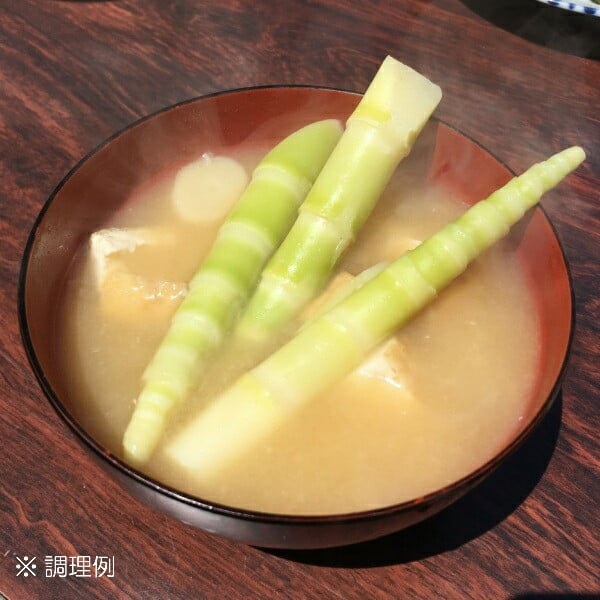 【令和8年産先行予約】月山筍（ネマガリダケ） サイズミックス2kg　がっさん たけのこ　鶴岡市朝日東部地区自治振興会