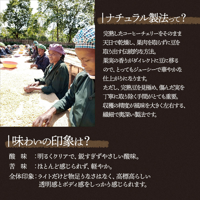 千一珈琲　コーヒー豆：エチオピアナチュラルモカ91g　[K-710]