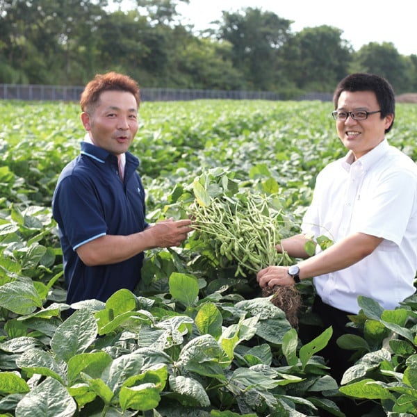 【令和7年産】寺田村産だだちゃ豆 極味 竹簾箱入り 580g　清川屋