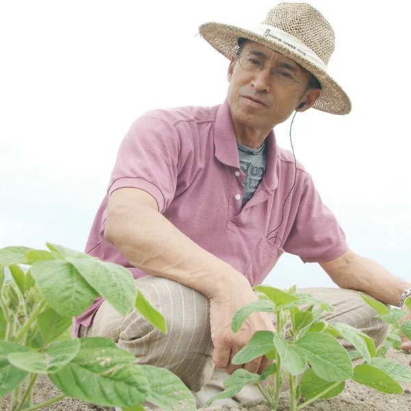 【令和7年産】市左衛門 白山だだちゃ豆（木箱入）1kg 【本豆】  株式会社 清川屋