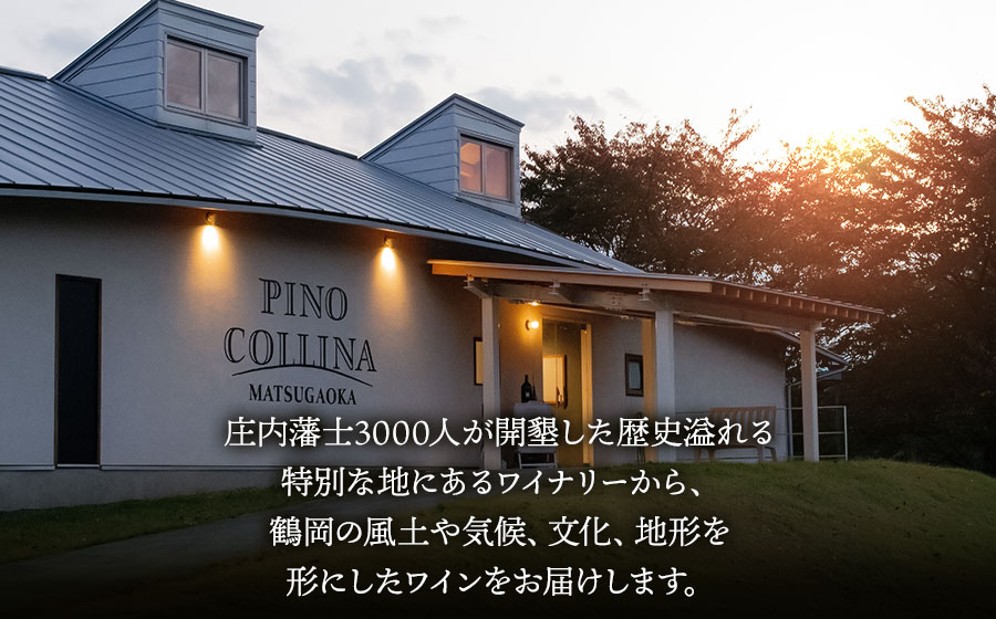 鶴岡産赤ワイン　Sence of Place 2025（赤） 750ml×1本　株式会社エルサン 国産 日本ワイン