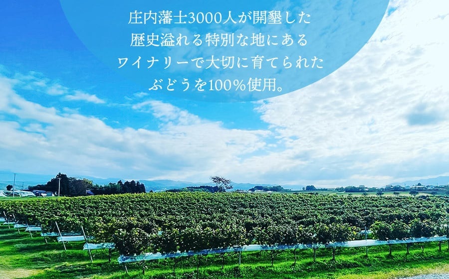 赤ワイン　Vestito Rosso　2025　750ml×1本　株式会社エルサン　国産 日本ワイン