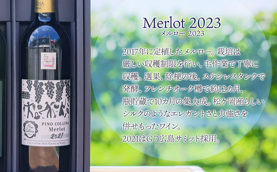 ワイン　「メルロー2023（赤）」「鶴岡甲州2024（白）」750ml×2本入　株式会社エルサン　国産 日本ワイン