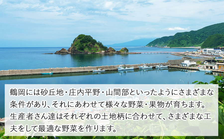 旬のおいしい野菜詰合せセット 約3kg　やさいろ