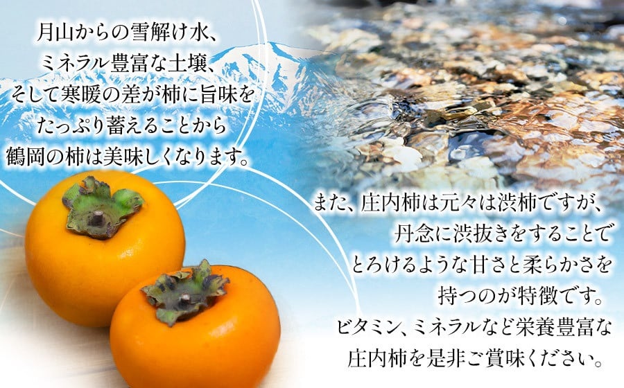 【令和7年産 先行予約】庄内柿 秀品 L～4L 約5kg（22～32玉）　山形県鶴岡市産