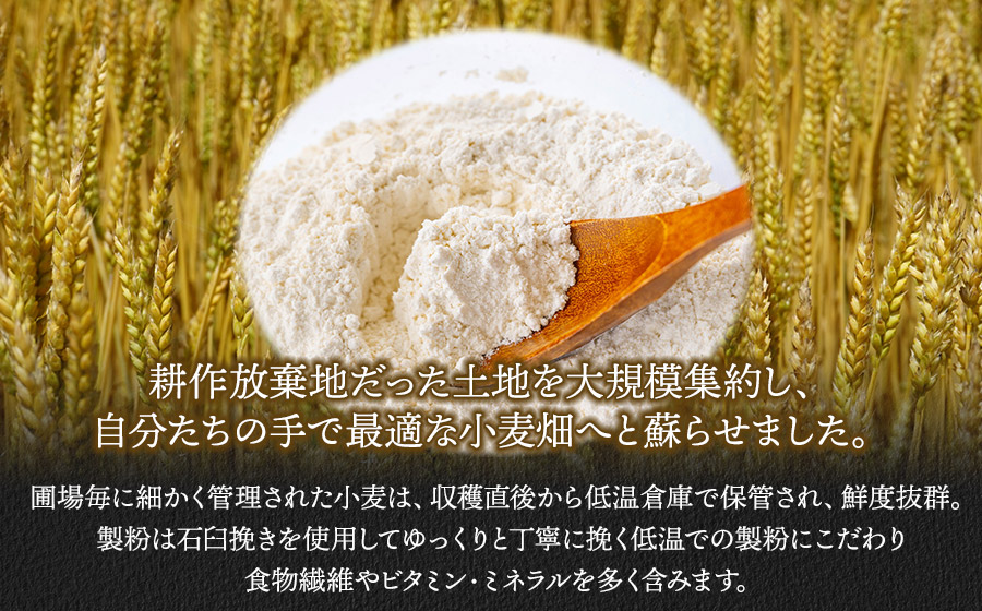 月山の粉雪そうめん　90g×2束×10袋　アインテック株式会社 10袋