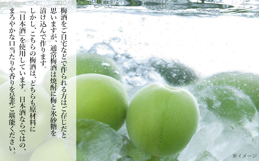 鶴岡の梅酒2本セット 佐藤屋×大山『咲くやこの花』＆羽根田酒造 羽前白梅『梅湧水』 各720ml K-638