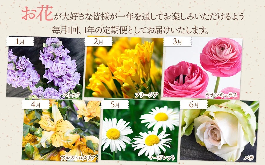 鶴岡産切花の定期便12ヶ月　Aコース　花蔵（HANAZO）　K-722