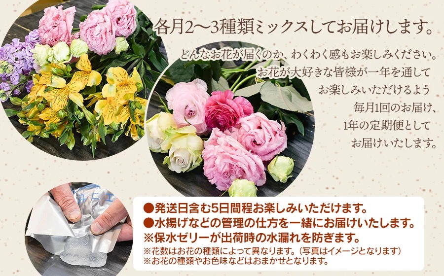何が届くかお楽しみ★【6ヶ月定期便】鶴岡産切花ミックスセット Aコース6回　花蔵（HANAZO）　K-733