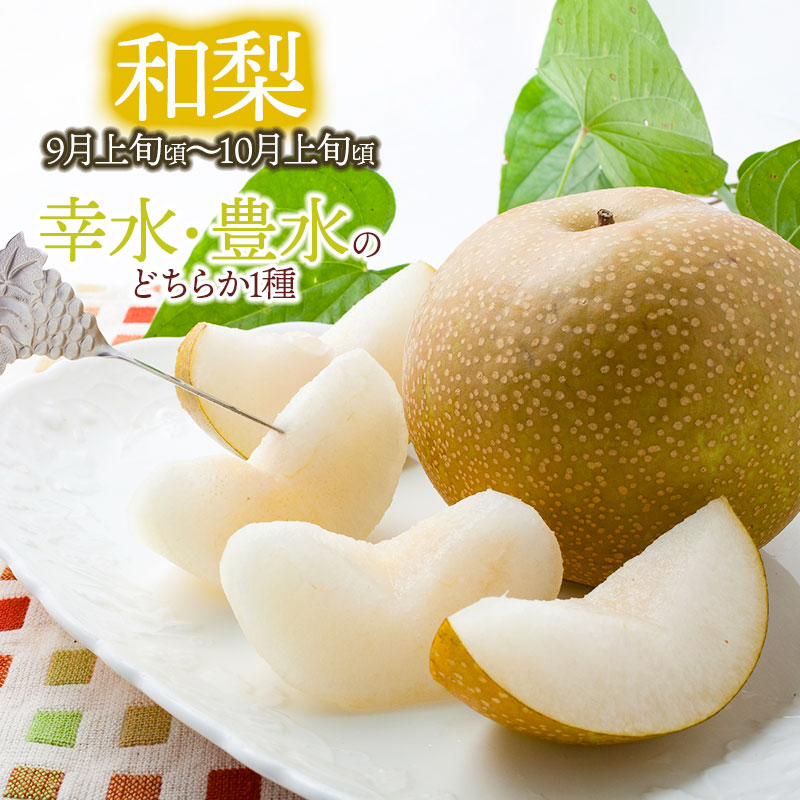 【令和7年産先行予約】鶴岡産果樹定期便　桃2kg ＆ 和梨3kg ＆ ラ・フランス3kg 泉屋商店