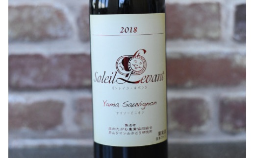 赤ワイン　飲み比べ2本セット　ソレイユルバン・ヤマソービニオン750ml＆豊穣神話・ヤマソービニオン720ml　K21-744