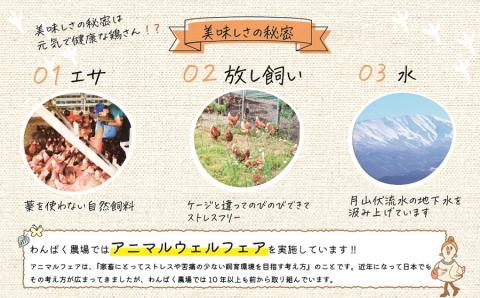 太陽の下放し飼いわんぱく卵 【2回お届け】「10個入×3パック」