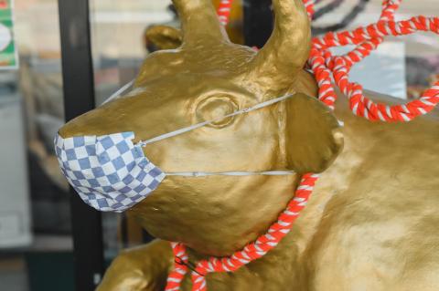 庄内産桜美豚　庄味漬（味噌漬）