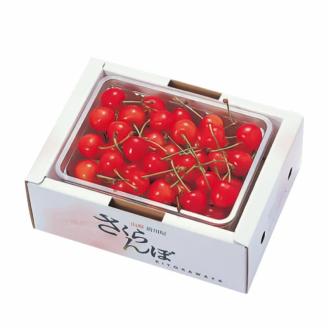 【2024年 令和6年産 先行予約】さくらんぼ 佐藤錦 秀選バラ詰め【500g】（Lサイズ）　株式会社 清川屋