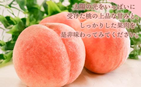 【令和6年産先行予約】 桃 品種おまかせ 5kg(15玉～18玉) 山形県鶴岡市産　株式会社 元青果