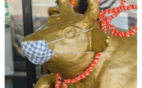 A05-306　庄内産桜美豚セット（豚肉）　長南牛肉店