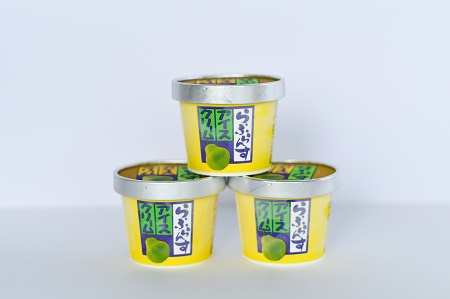 鶴岡アイスクリーム１１個セット