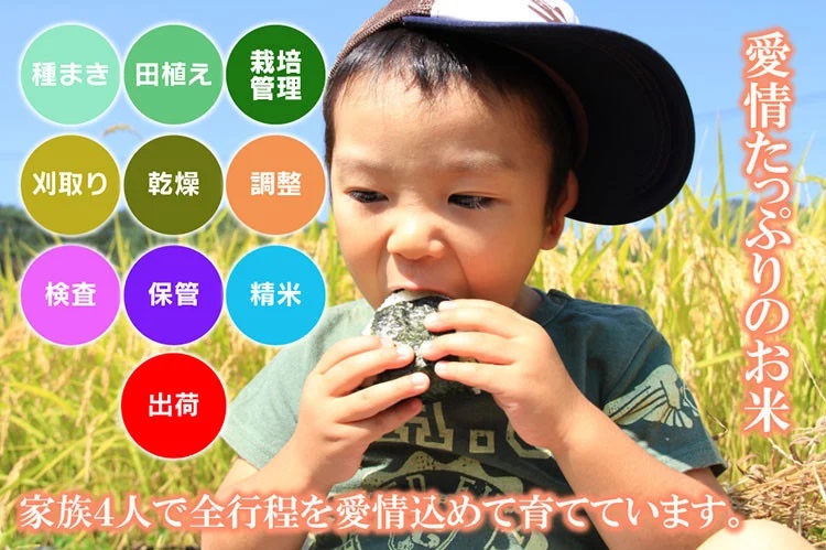 【令和6年産】 特別栽培米 ひとめぼれ 乾式無洗米 10kg（5kg×2袋）山形県鶴岡市産　米工房 月山