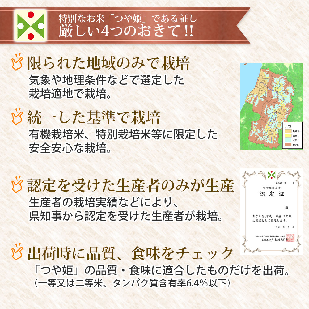 【令和7年産】 つや姫 無洗米 10kg (5kg×2)　山形県庄内産　有限会社 阿部ベイコク