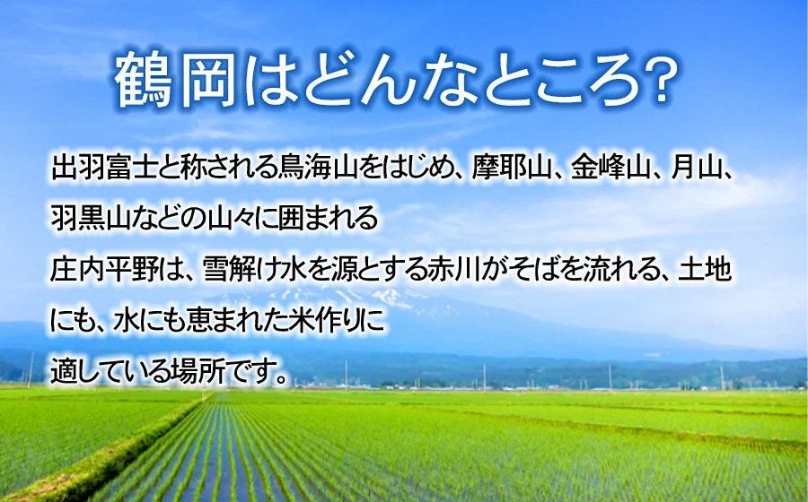 【令和7年産先行予約】特別栽培米つや姫 無洗米 10kg (5kg×2袋)×12ヶ月【定期便】　鶴岡協同ファーム