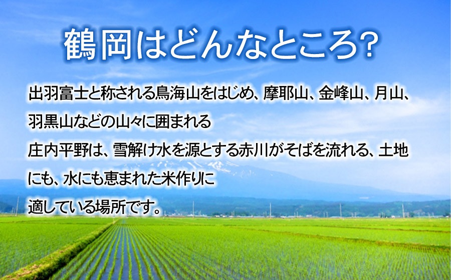 【令和8年産先行予約】特別栽培米つや姫 無洗米 5kg (5kg×1袋) 山形県鶴岡産　鶴岡協同ファーム