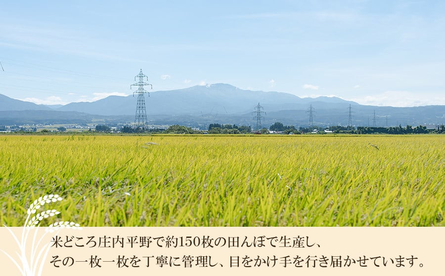 【令和7年産】 井上農場の特別栽培米 コシヒカリ 無洗米 6kg（2kg×3袋）　K-750