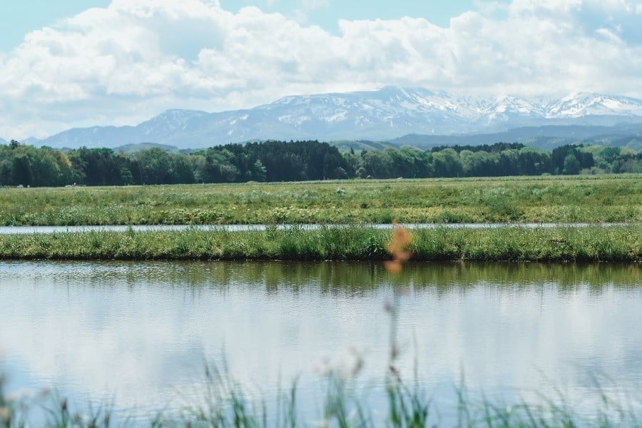 【令和7年産】 黒川まるいし農場の特別栽培米 コシヒカリ 精米 15kg(5kg×3袋) 山形県鶴岡市産　K-7129