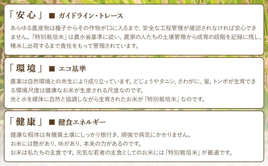 【令和6年産】【6ヶ月定期便】 米の里の特別栽培米 つや姫 精米 6kg(2kg×3袋)×6ヶ月　山形県鶴岡市産 k-663