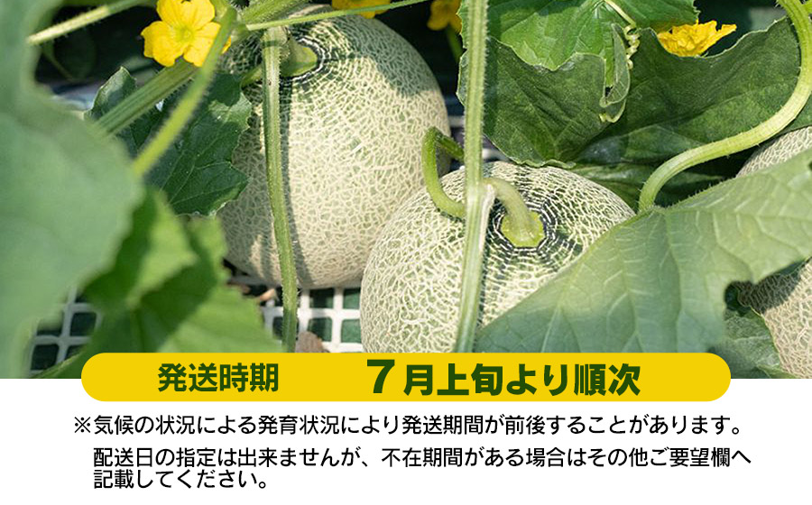 【令和8年産先行予約】お楽しみメロン 3L5玉セット または 2L6玉セット 山形県 庄内産 砂丘メロン 食べ比べ K-860　JA鶴岡