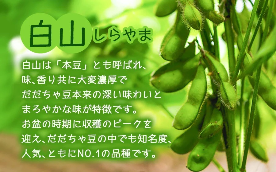 【定期便】【令和8年産先行予約】朝採りだだちゃ豆 食べ比べ 1.5kg (500g×3袋)×3回 お届け 早生・白山・晩生 枝豆　小池半左衛門