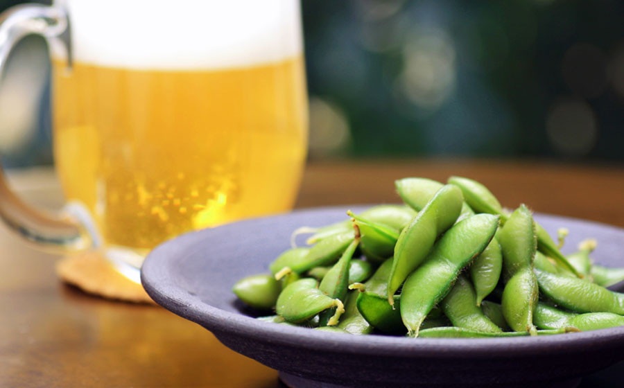 【2回定期便】【令和8年産先行予約】 朝採り生だだちゃ豆 1.2kg(600g×2袋) 旬2回お届け (8月上旬、8月下旬) 山形県鶴岡市産　株式会社菜な八（鶴岡ファーマーズ）