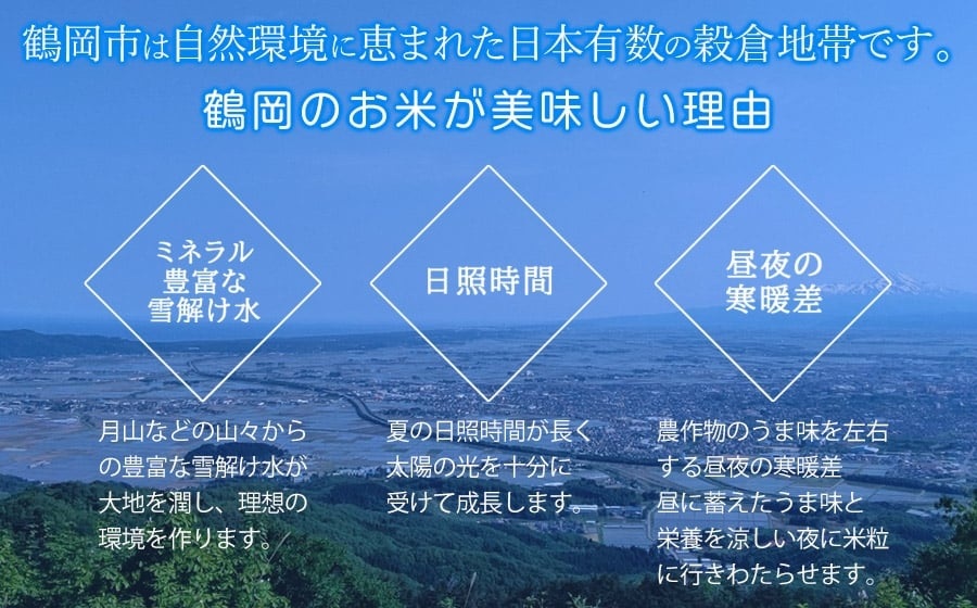 【令和7年産】 山形はえぬき 精米 20kg (5kg×4袋)　山形県鶴岡市産　株式会社菜な八（鶴岡ファーマーズ）