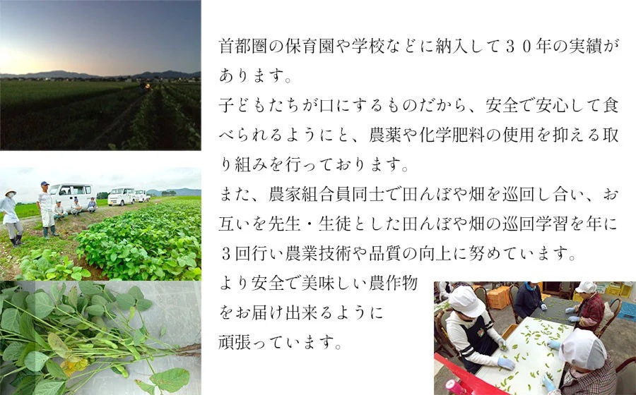 【令和7年産先行予約】 鶴岡特産 だだちゃ豆 1.5kg(250g×6袋)　庄内産直センター