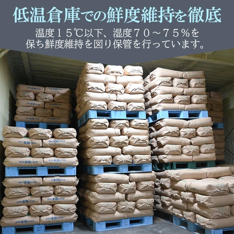 令和7年産【新米】特別栽培米 ひとめぼれ 乾式無洗米 10kg（5kg×2袋） 山形県鶴岡市産 有限会社コープスター会