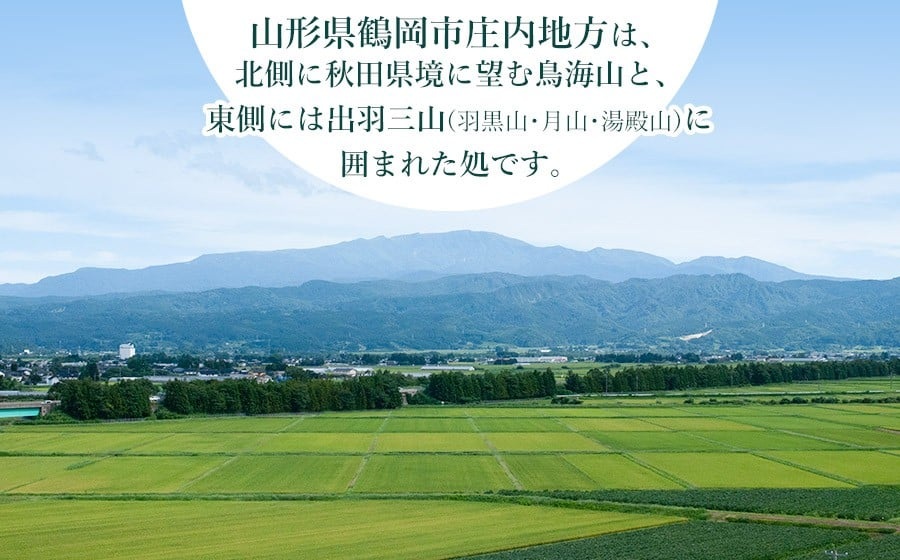 【3回定期便】【新米】 令和7年産 雪若丸10kg (5kg×2)×3回 山形県庄内産　鶴岡米穀商業協同組合