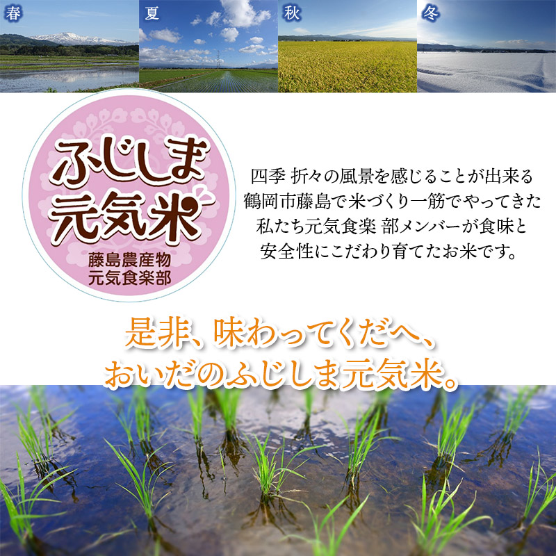 【令和7年産】特別栽培つや姫　ふじしま元気米　10kg（5kg×2）新鮮館Ａコープ藤島店