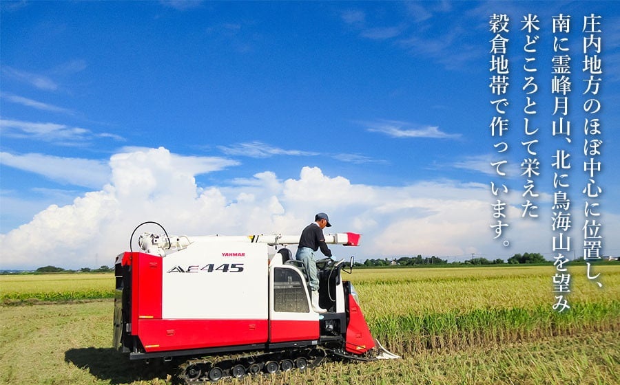 【令和7年産】 特別栽培米 つや姫（タニシ米）精米10kg（5kg×2袋）　山形県鶴岡産　アベ・アグリ米