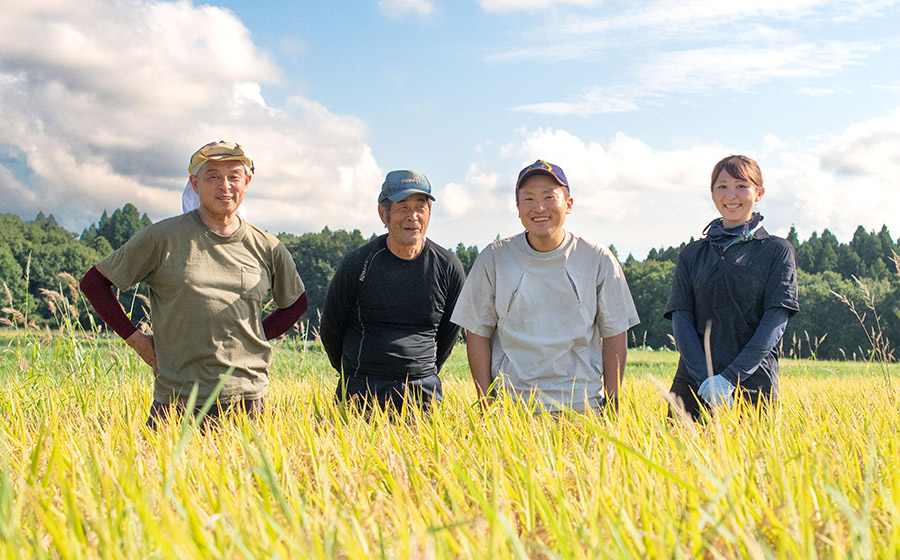 【令和7年産先行予約】庄内おばこ農場の特別栽培米 はえぬき【精米】10kg（10kg×1袋）　K-796