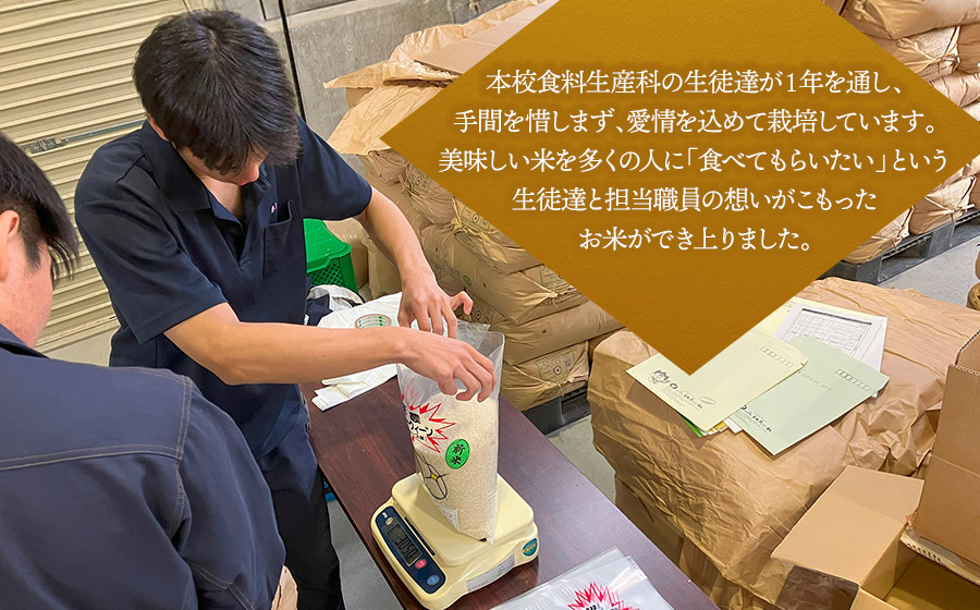 【令和7年産】 山形県立庄内農業高等学校の生徒が栽培したミルキークイーン 精米3kg　山形県鶴岡市