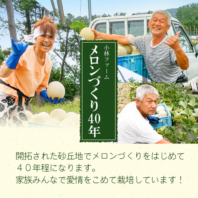 【令和6年産先行予約】 秋どりアンデスメロン 約5kg（3～4玉入） 山形県鶴岡市産 庄内砂丘メロン　小林ファーム