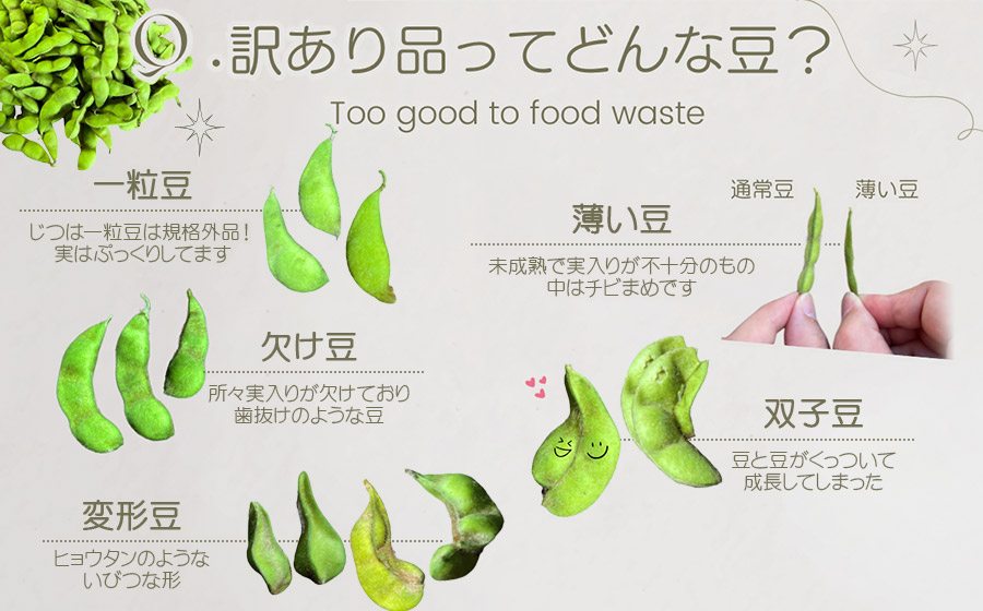 【令和8年産先行予約】【訳あり】白山だだちゃ豆　1kg（1kg × 1袋）　長五郎