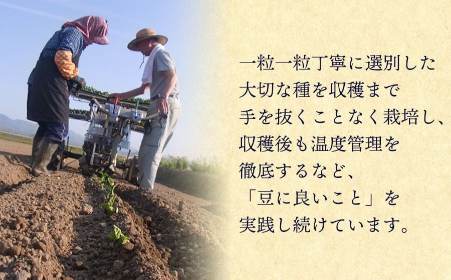 【令和8年産先行予約】 木村九八郎の朝採り！新鮮！だだちゃ豆 「本豆」 1kg（250ｇ×4袋） 山形県鶴岡市産　K-829