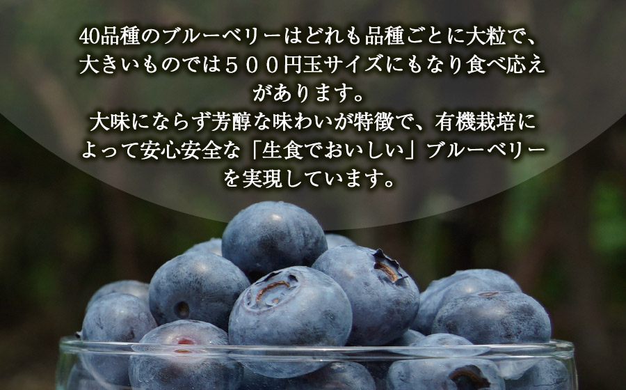 月山高原鈴木農園のブルーベリージャム　4個セット　有機栽培　K-634